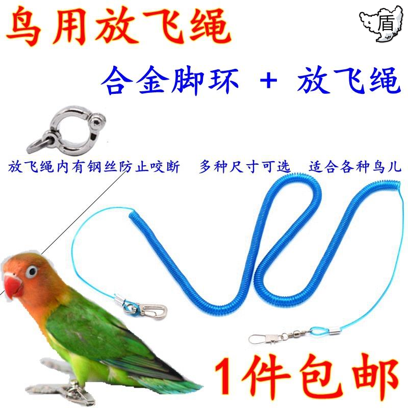 小鸟搭配学生种鸽配件腿环脖子其他喜鹊拴不锈内置虎皮鹦鹉放飞绳