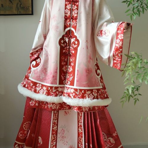 清汉女古董衣中长款比甲马面裙冬