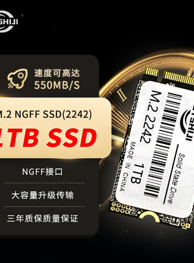 全新固态硬盘2242 M2 ngff 128G/256G/512G/1T/2T笔记本电脑SSD