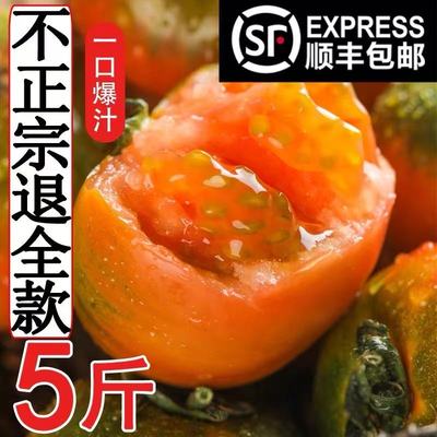 丹东铁皮柿子草莓碱地西红柿新鲜应季生吃自然熟绿腚盘锦番茄正宗