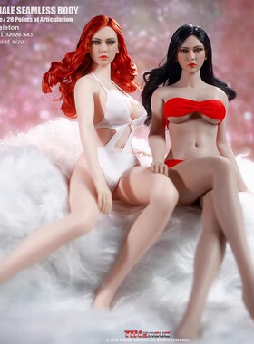 TBLeague PLLB2020-S42A S43A 1/6 兵人 包胶 可动连脚素体 现货