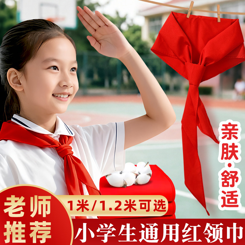 湘智加厚小学生红领巾图片