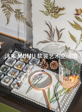 样板间手工艺实验室动植物主题昆虫花艺装饰画标本书房软装饰组合