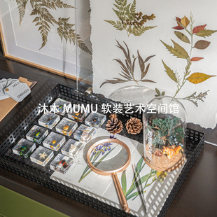 样板间手工艺实验室动植物主题昆虫花艺装饰画标本书房软装饰组合