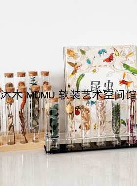 样板儿童书房试管植物标本展示架桌面收纳摆件软装饰品创意置物架