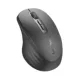 Storm Grey M1 Maste [Двухрежимная мышь]
