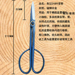 朱记叶芽剪盆景制作造型工具R园艺修枝剪刀