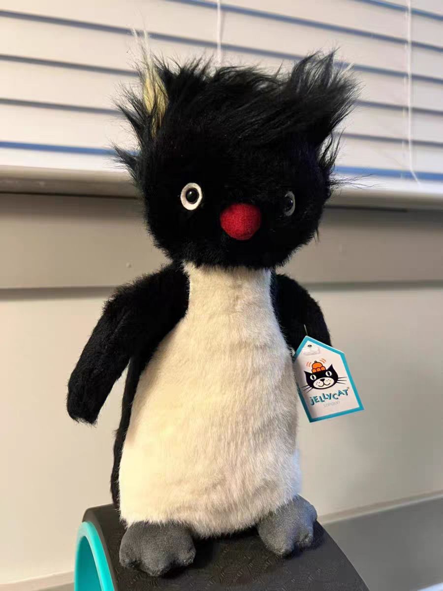 现货代购jellycat炸毛企鹅爆炸头罗尼跳岩可爱毛绒玩具公仔玩偶使用感如何?