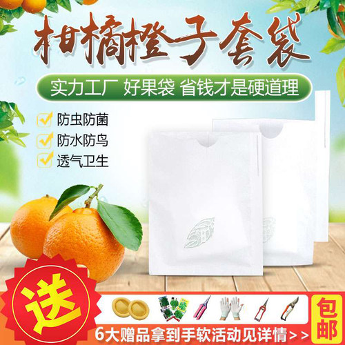 柑橘套袋专用橙子不知芒果杨桃