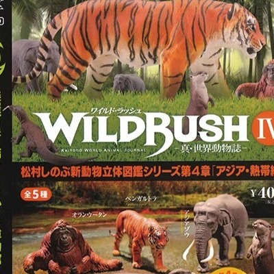 【香菜面包】预售真动物志Ⅳ