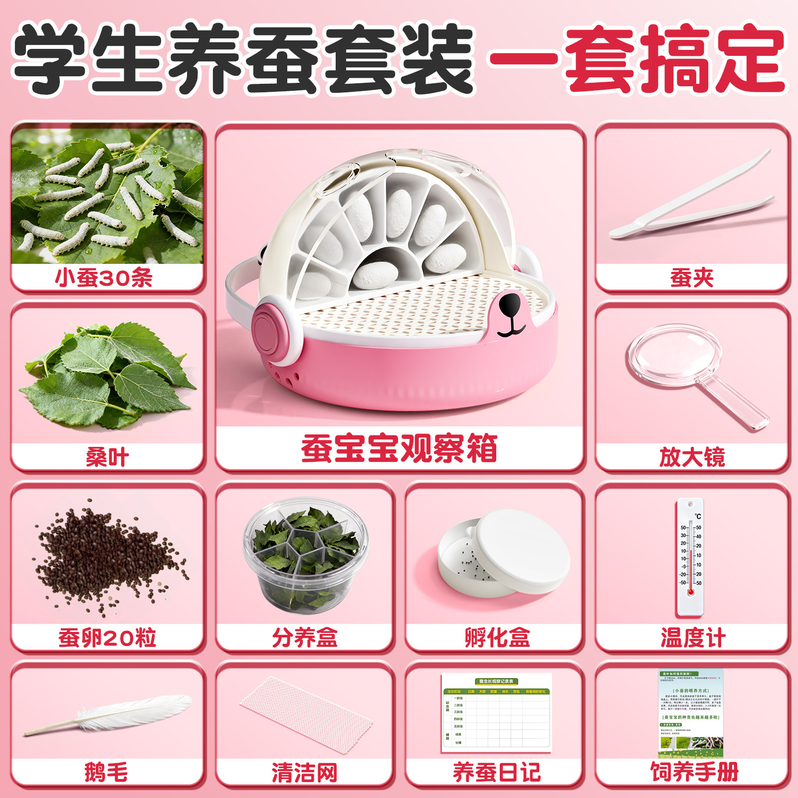【学校推荐】养蚕套装图片
