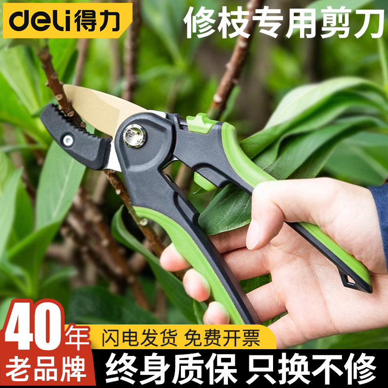 得力修枝专用剪刀园艺剪子图片