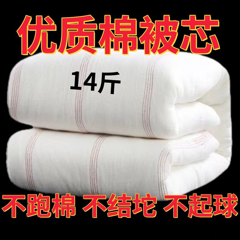 棉絮垫被床垫家用学校被子棉被y冬天加厚保暖被褥宿舍单人双人加