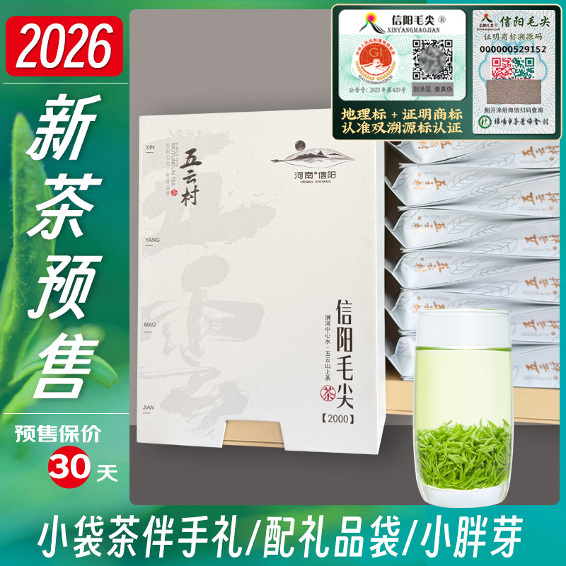 五云村2026新茶上市信阳毛尖绿茶茶叶小袋茶礼盒2000共12袋
