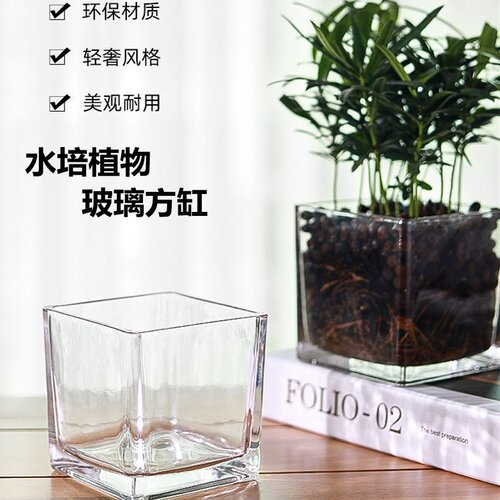 透明水培玻璃方缸花瓶简约鱼缸水养绿萝多肉器皿四方烛台花盆