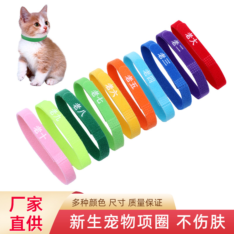 新生宠物身份识别圈小奶狗小幼猫项圈/肩带