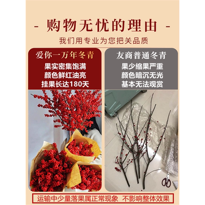 进口北美冬青红果鲜花真切