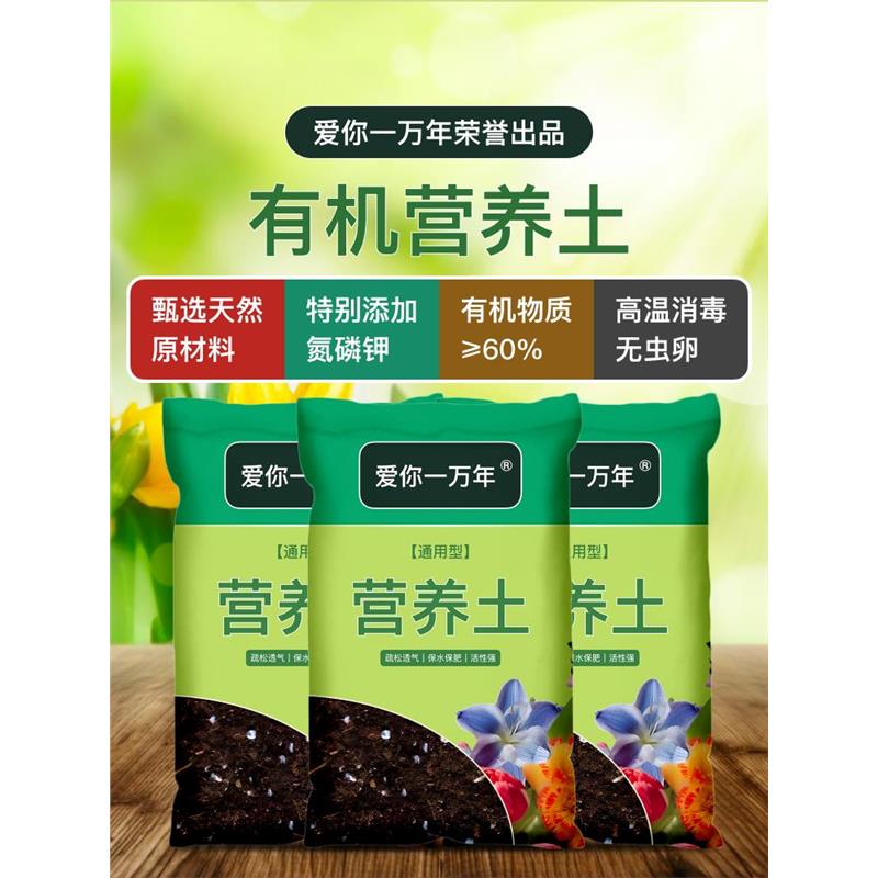 营养土花专用通型种菜盆栽