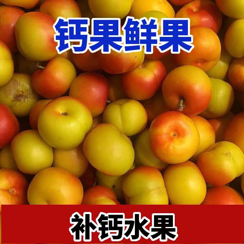 新鲜欧李欧粒钙果鲜果辽宁产地直发山梅子鲜果3斤装欧粒多省包邮