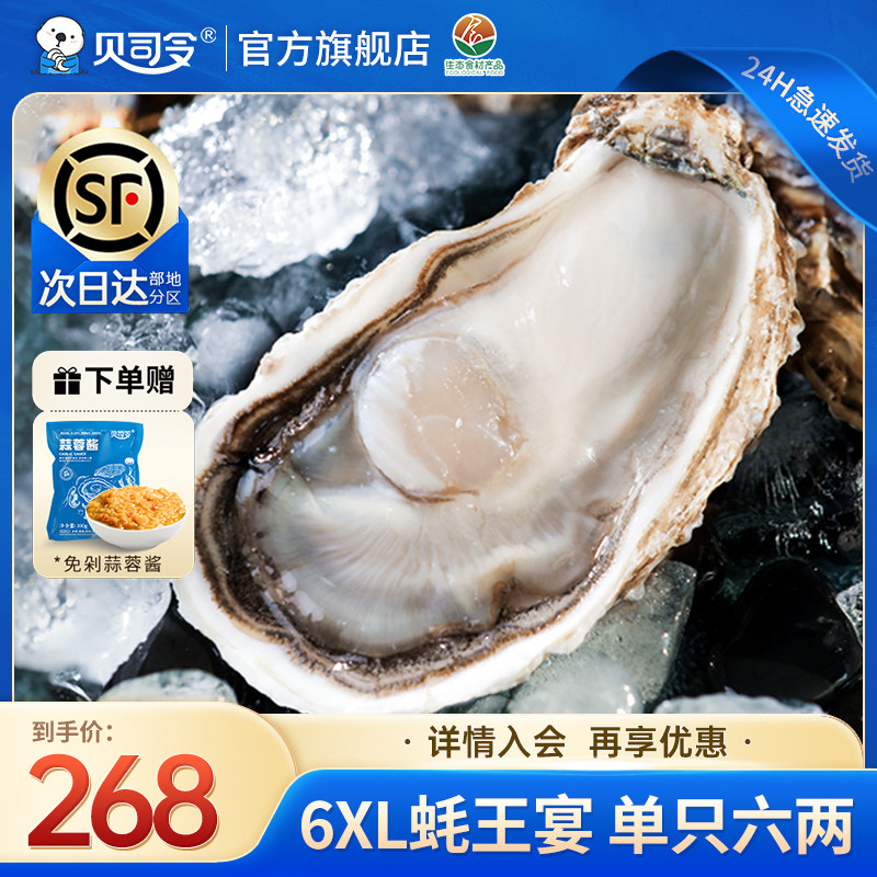 贝司令乳山生蚝鲜活10斤特大6XL蚝王牡蛎海鲜水产新鲜海蛎子
