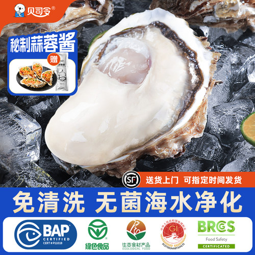 贝司令乳山生蚝顺丰鲜活到家