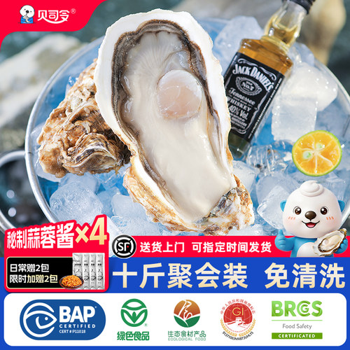 贝司令乳山生蚝鲜活到家