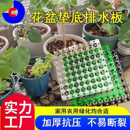 蓄排水板种植排水板疏水工厂直销