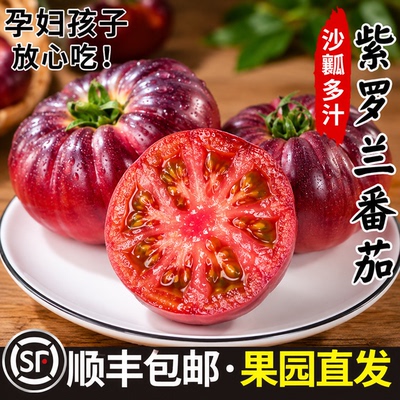产地直发正宗紫罗兰番茄