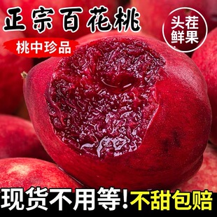 正宗百花桃老树血桃新鲜水果当季整箱斤红肉毛桃红心桃水蜜桃甜雪