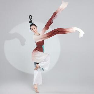 古典舞水袖舞蹈服博物馆之夜同款汉唐服装惊鸿舞演出服练功艺考服