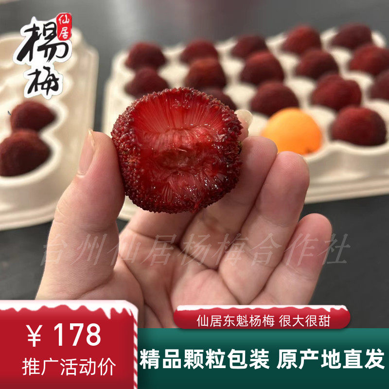 正宗仙居杨梅新鲜现摘现发东魁大杨梅孕妇当季水果整箱96颗