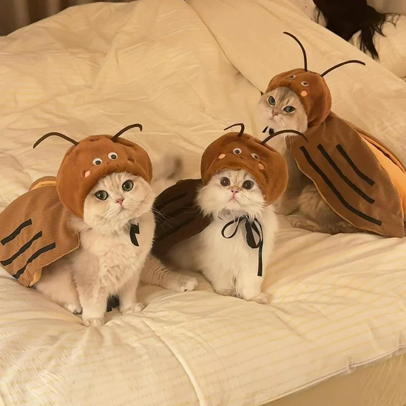 蟑螂猫咪衣服可爱宠物头套猫披风可调节狗狗拍摄万圣节搞笑搞怪装