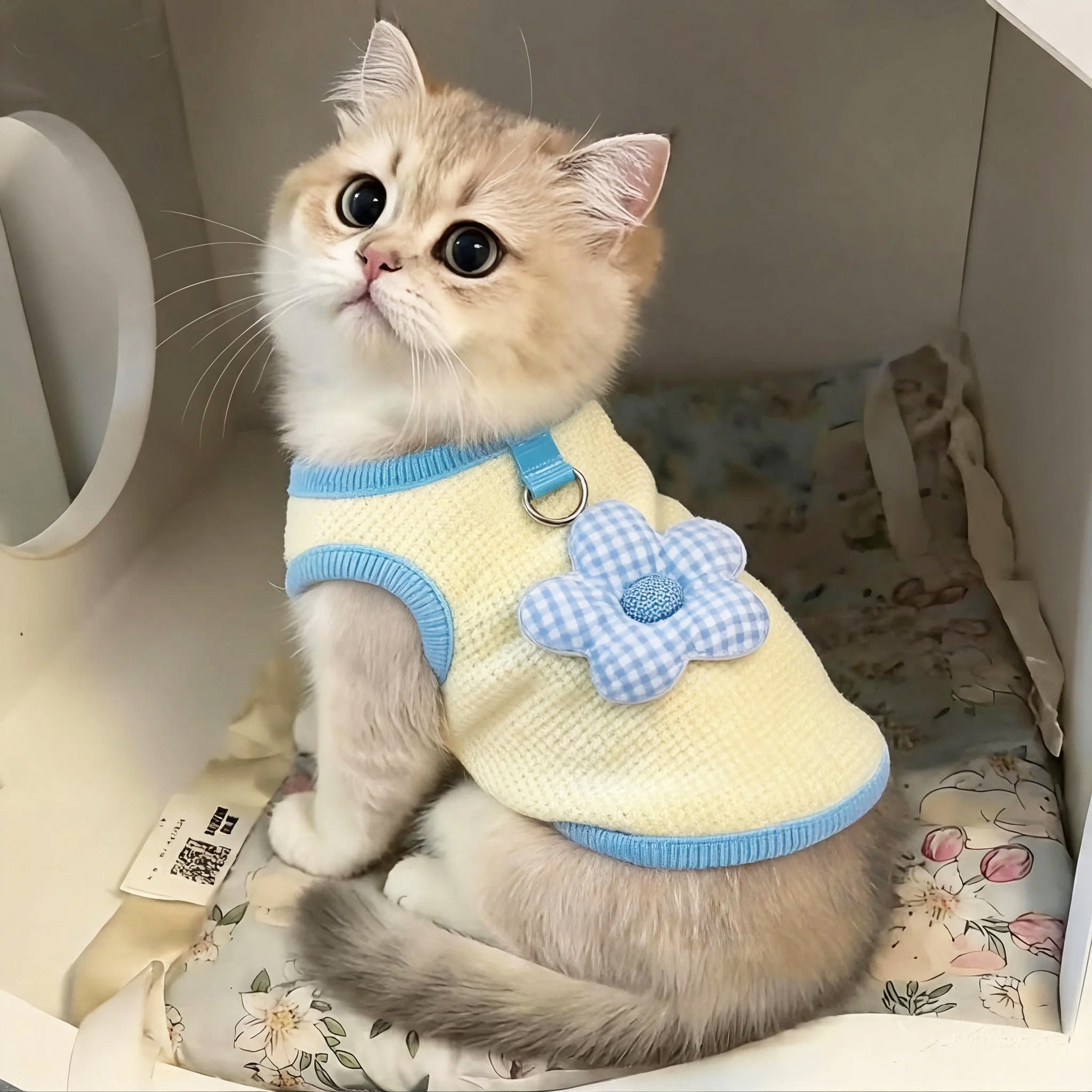 猫咪衣服春秋款可牵引外出金渐层布偶小狗狗小体比熊泰迪奶猫服饰