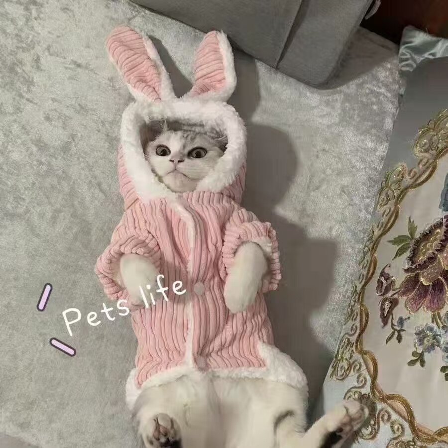 猫咪衣服秋冬兔子装英短布偶幼猫狗狗加绒冬天保暖小猫防掉毛棉衣