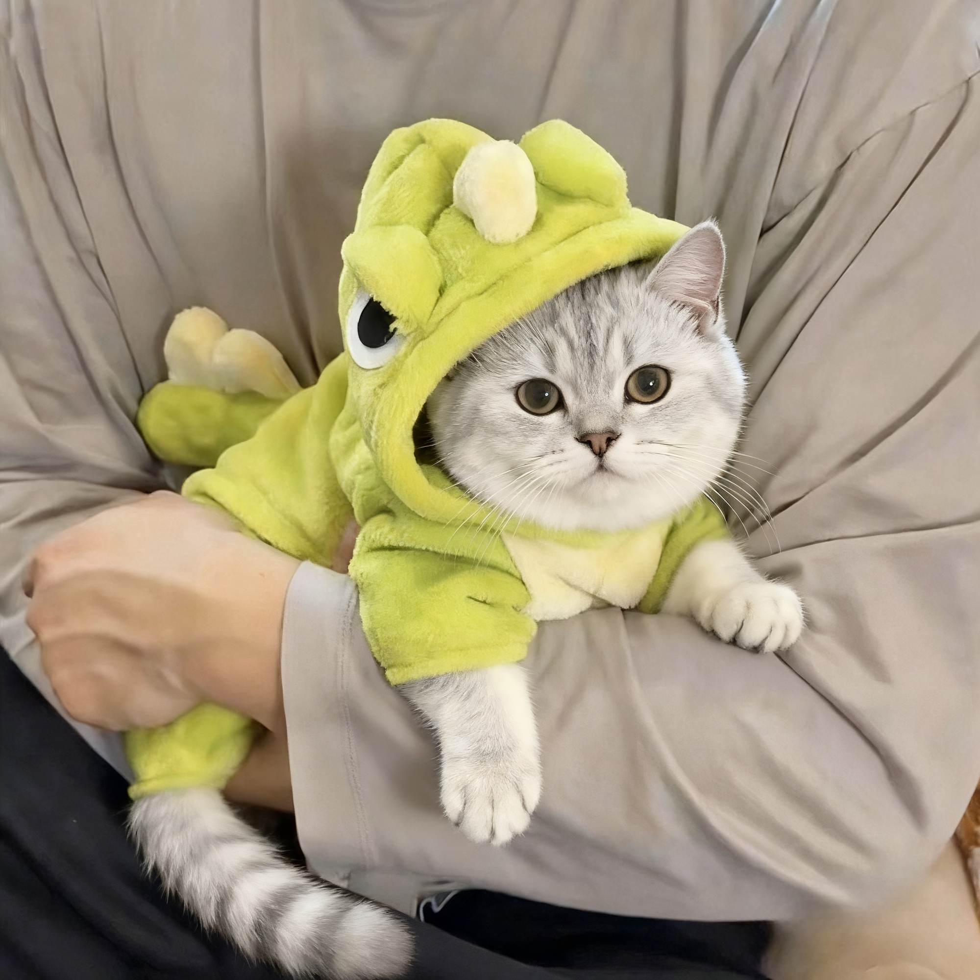 猫咪衣服秋冬款可牵引恐龙布偶蓝猫小猫防掉毛狗狗冬季保暖四脚衣