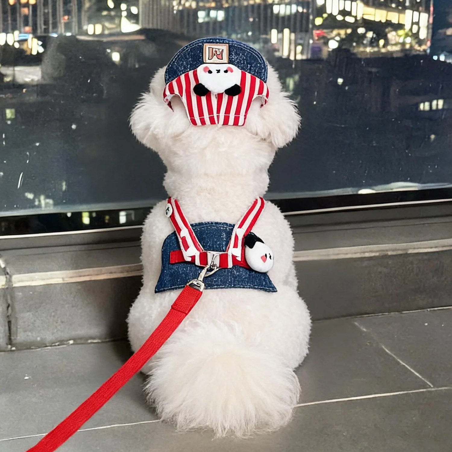狗狗牵引绳衣服小型犬背心式胸背带比熊泰迪马尔济斯约克夏遛狗绳图片