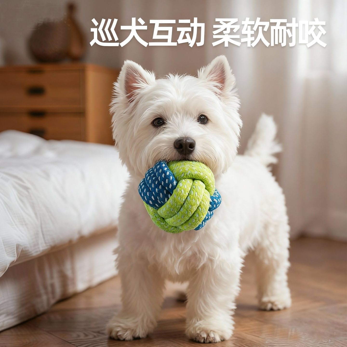 狗狗玩具手工编织球磨牙耐咬球比熊西高地泰迪小型犬互动解闷用品,宠物/宠物食品及用品,橡胶球/球形玩具,淘宝优惠券,粉丝福利购,淘宝优惠卷