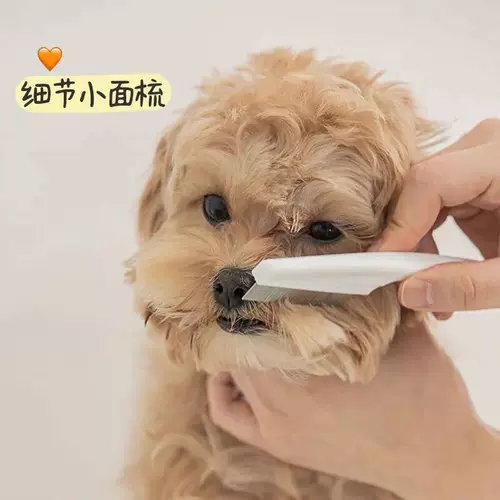 Pet Cat, рот собаки собаки расчесывал густые зубы, маленький ряд расчесывает глаза, чиляя лицо лица, расческа блох.