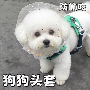 防偷吃乱吃网纱狗狗头套小型犬泰迪比熊防咬防误食面罩防舔嘴套