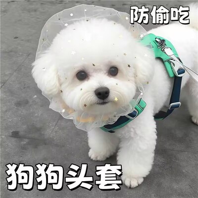 防偷吃乱吃网纱狗狗头套小型犬泰迪比熊防咬防误食面罩防舔嘴套