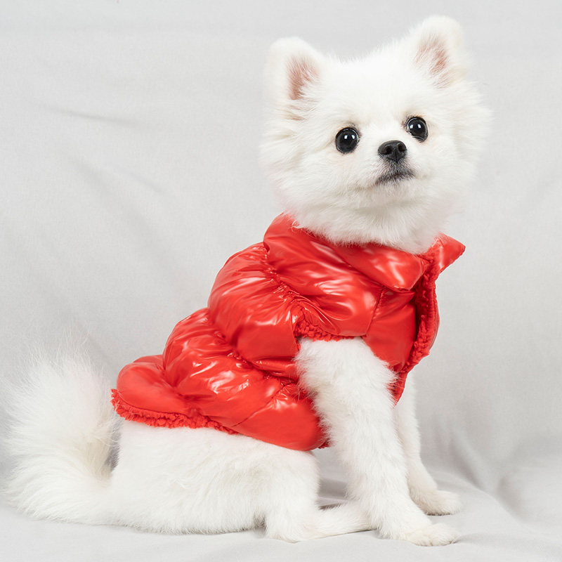小狗狗衣服新年秋冬装泰迪加厚棉衣宠物比熊博美小型犬羽绒棉马甲