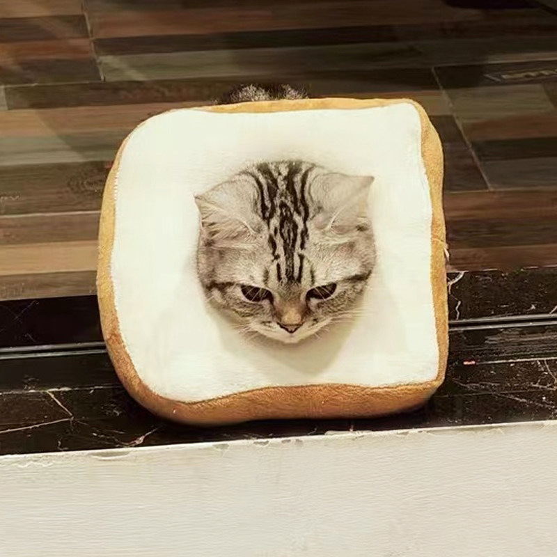 猫咪项圈伊丽莎白圈可调节脖圈绝育防舔防抓狗狗软圈宠物专用头枕