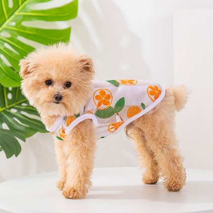 狗狗衣服夏季薄款透气网眼防掉毛泰迪博美比熊猫咪可牵引凉凉背心