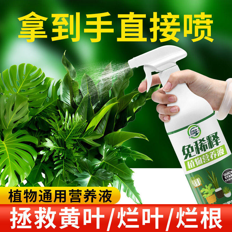 免稀释植物营养液通用型盆栽肥料室内绿植发财树养花卉叶面喷施肥,鲜花速递/花卉仿真/绿植园艺,家庭园艺肥料,淘宝优惠券,粉丝福利购,淘宝优惠卷