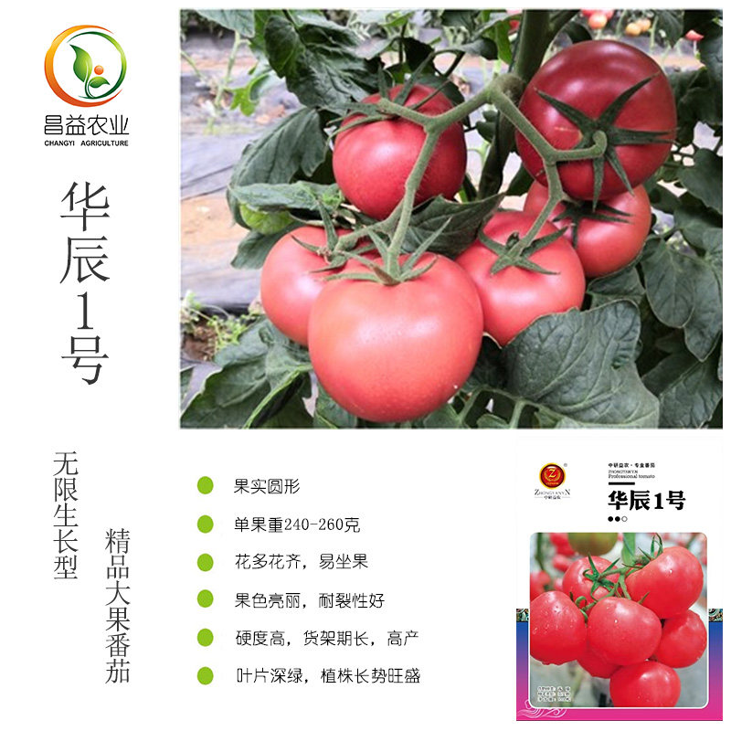 华辰1号粉果番茄种子 中研益农精品大果耐裂抗病西红柿大柿子种子