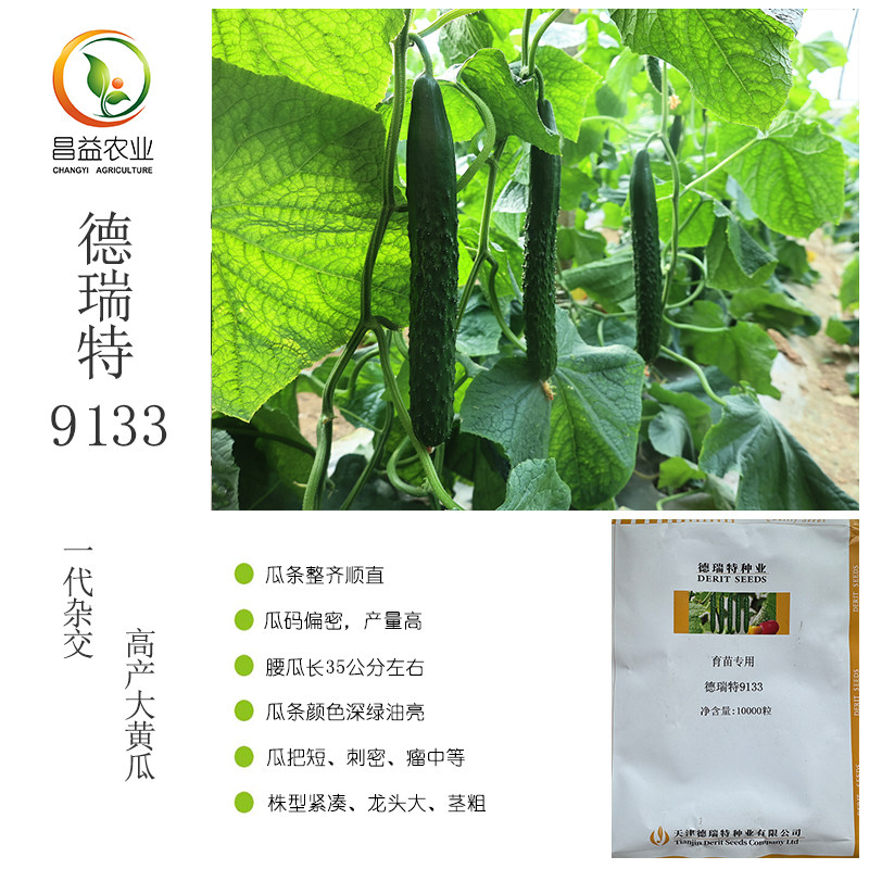 德瑞特9133黄瓜种子 耐热抗病毒强雌青瓜籽深绿油亮大黄瓜种子