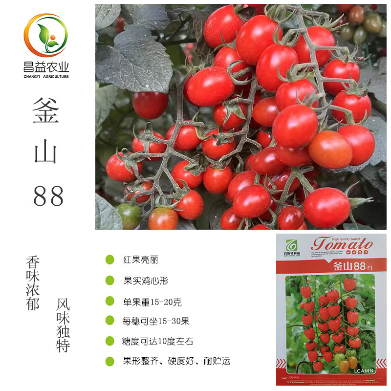 原装釜山88玲珑小番茄种子孑大红色樱桃番茄种籽釜山88小番茄苗子
