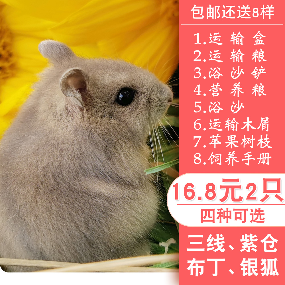 网友分享在meiguo.com的图片