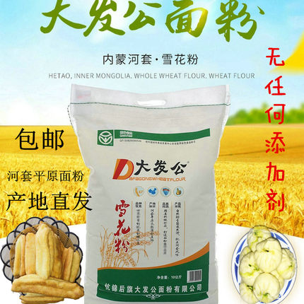 内蒙河套特产大发公雪花粉全麦高筋面粉10kg家用包子面条馒头包邮