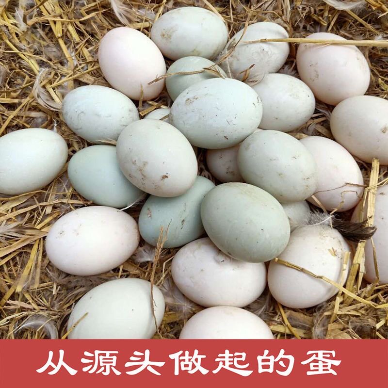 生鸭蛋新鲜鸭蛋正宗散养土鸭蛋绿壳青皮农家鸭蛋30枚65g90g批发